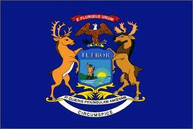 [UNIT FLAG]