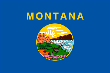 [UNIT FLAG]