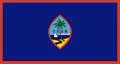 [UNIT FLAG]